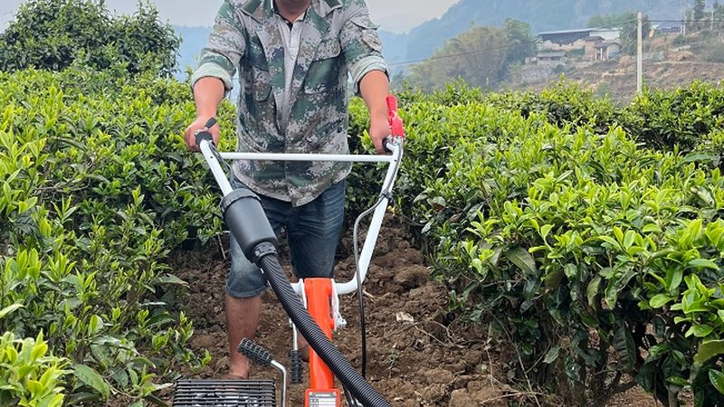 柴油机柱塞型号揭秘：如何选择合适型号**