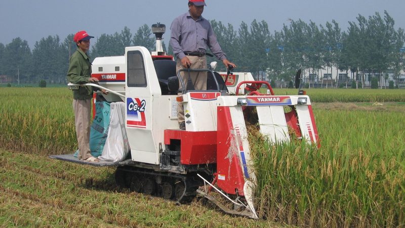 小型玉米联合收割机：价格背后的考量因素